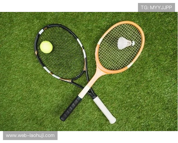 探索db体育官网首页多样化的体育娱乐内容丰富你的休闲时光