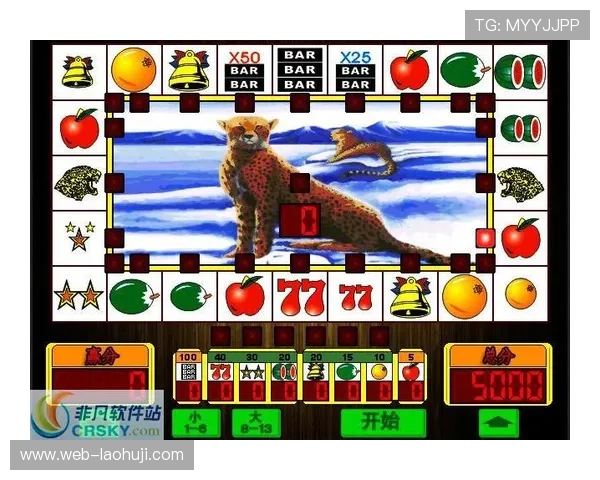 探索老虎机游戏手机版大满贯的多样玩法与创新设计亮点