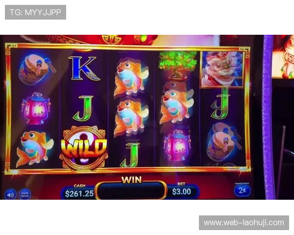 2024年水果老虎机价格表全攻略，帮你轻松选购合适设备