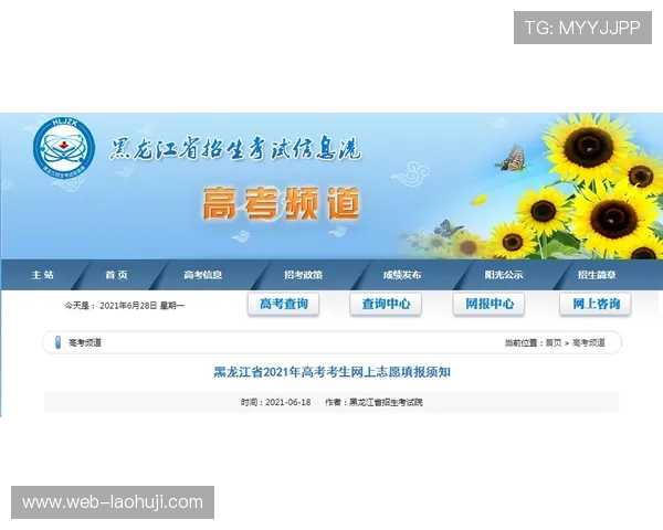 新手如何顺利完成老虎机平台开户流程及注意事项解析